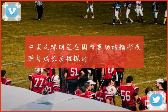 中国足球明星在国内赛场的精彩表现与成长历程探讨