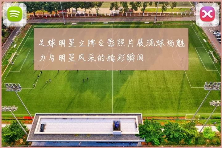足球明星立牌合影照片展现球场魅力与明星风采的精彩瞬间