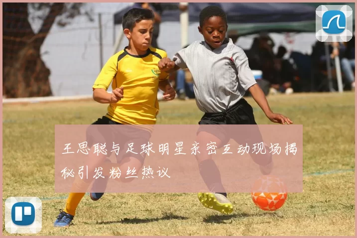 王思聪与足球明星亲密互动现场揭秘引发粉丝热议