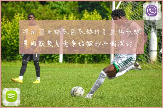 深圳羽毛球队团队协作引发热议球员间默契与竞争的微妙平衡探讨