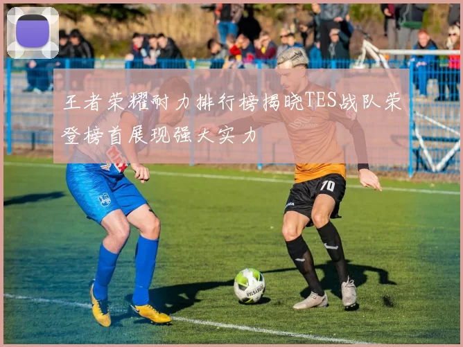 王者荣耀耐力排行榜揭晓TES战队荣登榜首展现强大实力