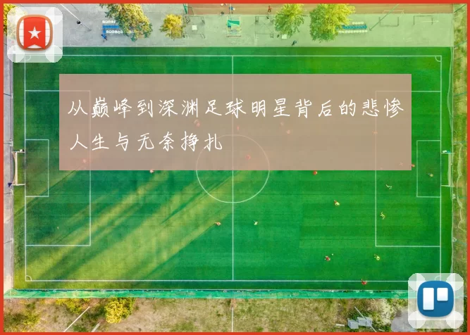 从巅峰到深渊足球明星背后的悲惨人生与无奈挣扎