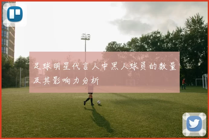 足球明星代言人中黑人球员的数量及其影响力分析
