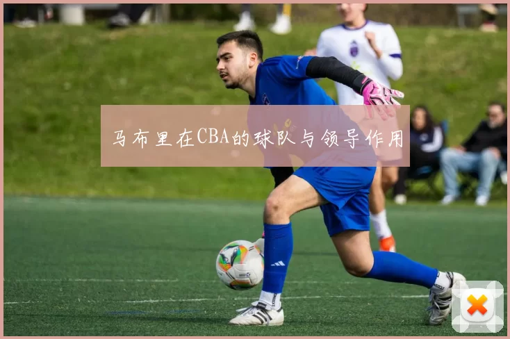 马布里在CBA的球队与领导作用