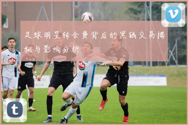 足球明星转会费背后的黑钱交易揭秘与影响分析