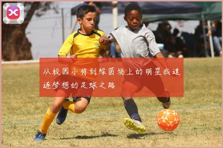 从校园小将到绿茵场上的明星我追逐梦想的足球之路