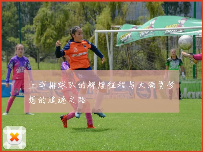 上海排球队的辉煌征程与大满贯梦想的追逐之路