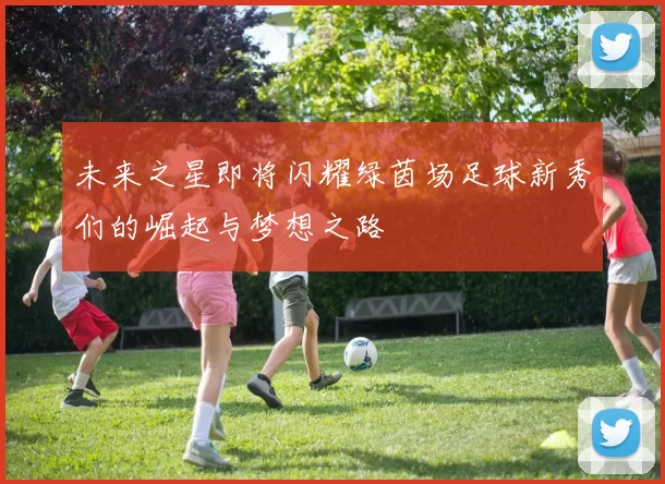 未来之星即将闪耀绿茵场足球新秀们的崛起与梦想之路