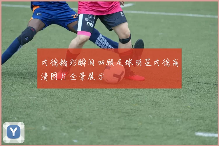 内德精彩瞬间回顾足球明星内德高清图片全景展示