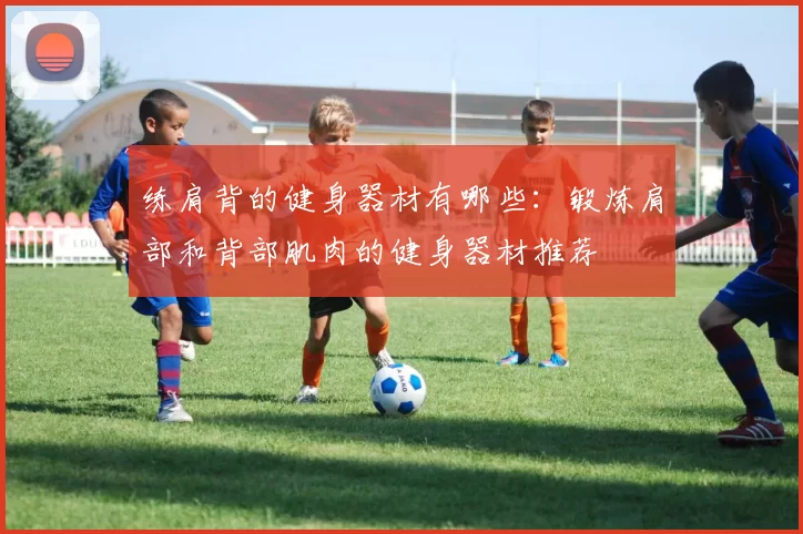 练肩背的健身器材有哪些：锻炼肩部和背部肌肉的健身器材推荐