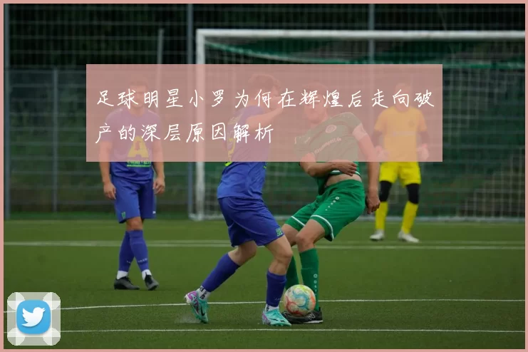 足球明星小罗为何在辉煌后走向破产的深层原因解析