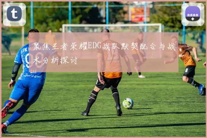 聚焦王者荣耀EDG战队默契配合与战术分析探讨