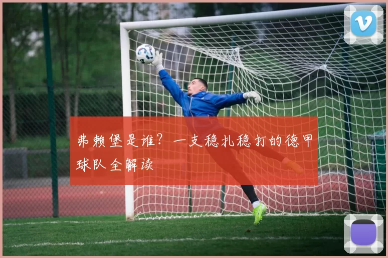 弗赖堡是谁？一支稳扎稳打的德甲球队全解读