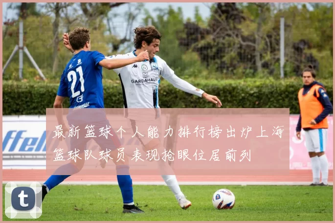 最新篮球个人能力排行榜出炉上海篮球队球员表现抢眼位居前列